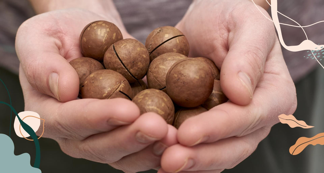 New wisdom of nut allergies and infants