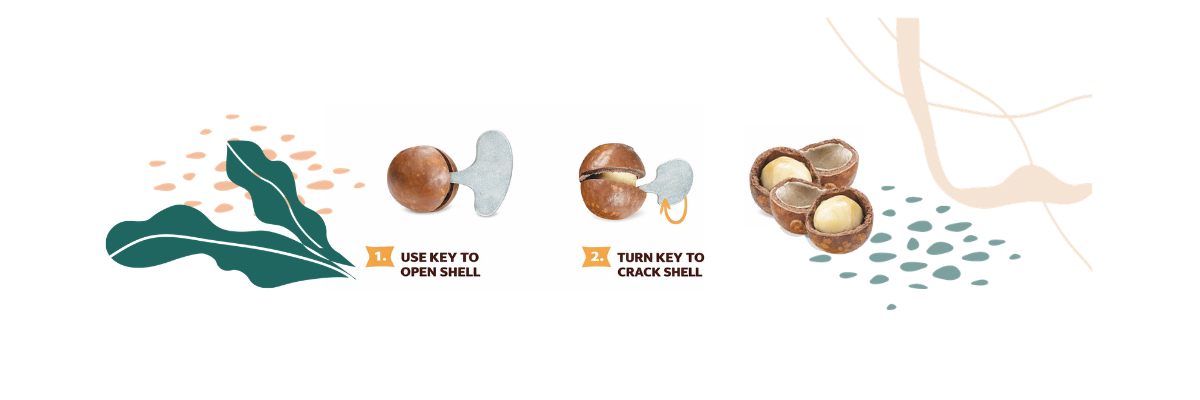 Easy crack step-by-step instructions on how to open macadamias using our tool that comes in a bag. Put the key tool in the split shell and turn it to open.