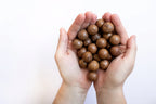 Two hands holding a handful of macadamia nuts against a white background