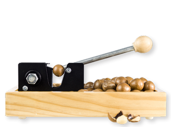 A nut cracker with a lever and wooden body, with nuts collected in a tray underneath.